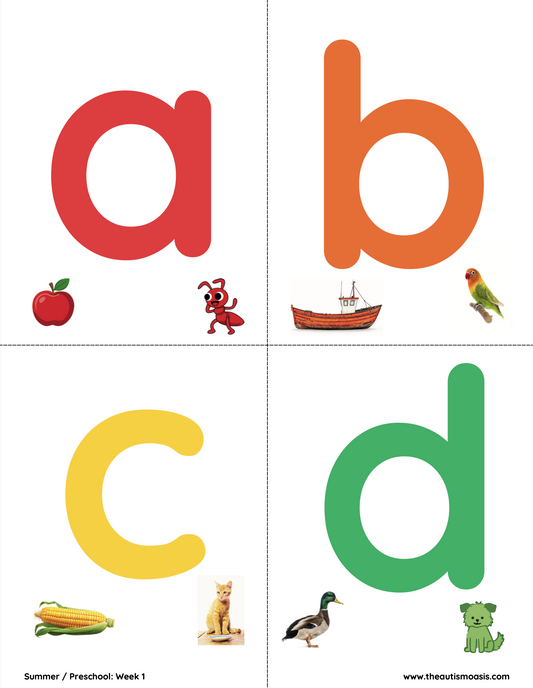 Autism Oasis Pre-K Summer School